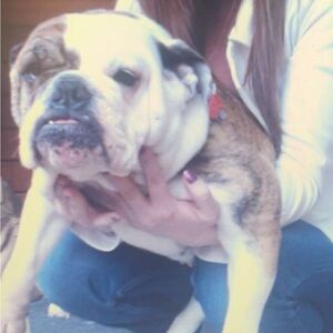 Meet your Posher, Morgan Laura